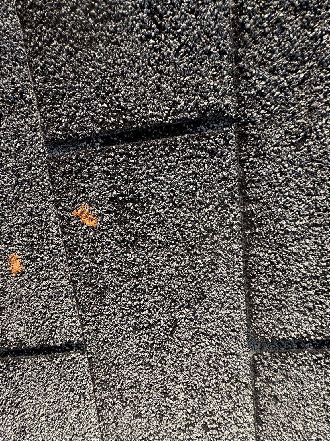Property inspection field photo 1