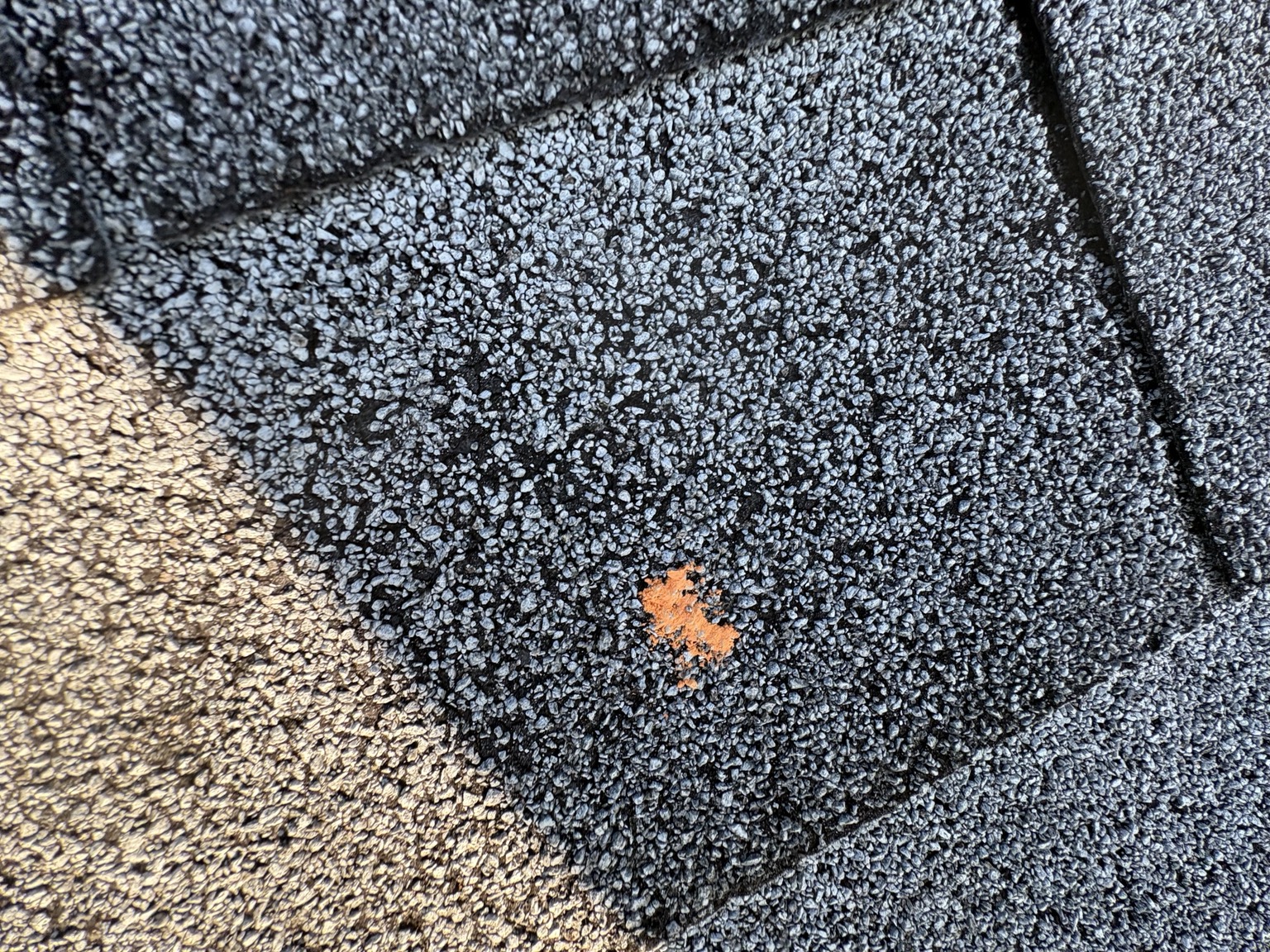 Property inspection field photo 1