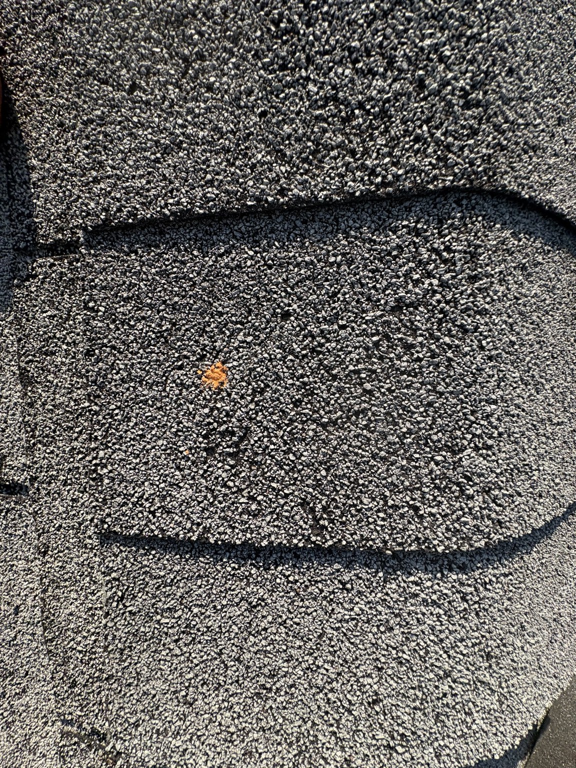Property inspection field photo 3